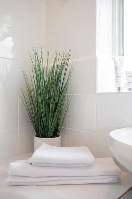 3 Bed House/Garden/Wi-Fi/Parking/Central Location Villa Guildford Eksteriør bilde